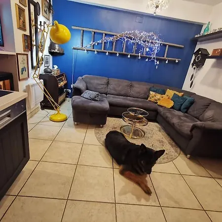 Aux Sources D'alsace Apartmán Soultzmatt