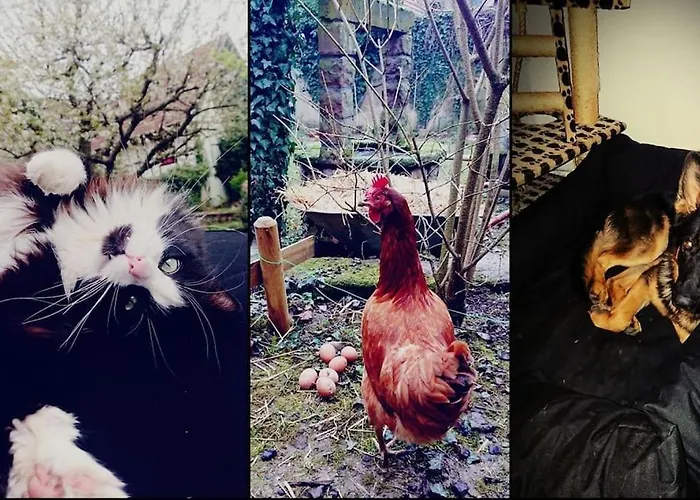 Aux Sources D'alsace * Soultzmatt